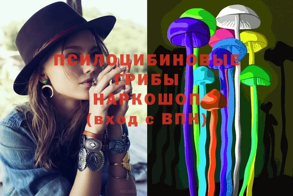 дживик Вяземский