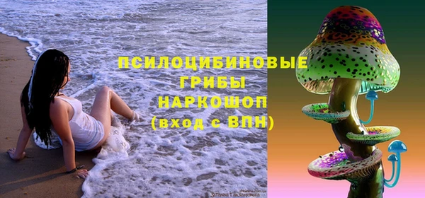 гидра Наволоки