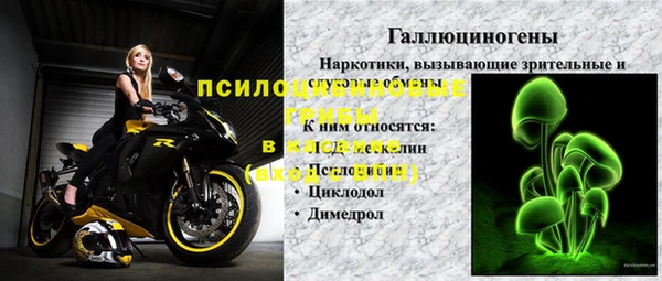 ECSTASY Михайловск