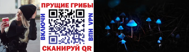Псилоцибиновые грибы Psilocybe  купить   блэк спрут ТОР  Кизел 